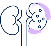 icon-kidneys